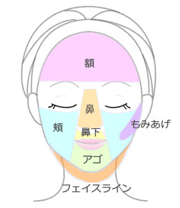 顔の脱毛箇所を7箇所に分類したイラスト図（額、もみあげ、鼻、鼻下、頬、顎、フェイスライン）