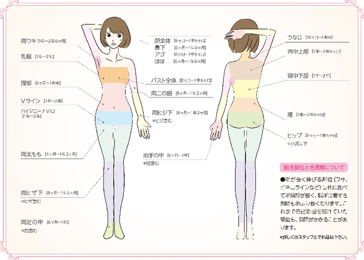 脱毛できる部位の解説イラスト画像（人体表面と裏面）